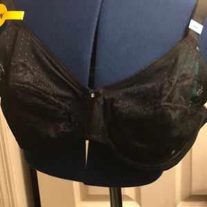 vanity Fair Bra size 40c new